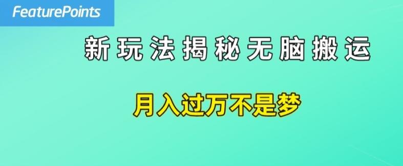 简单操作，每天50美元收入，搬运就是赚钱的秘诀【揭秘】-知库