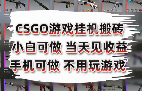 CSGO游戏挂G搬砖，小白纯手机即可操作，不用电脑打游戏，日入3张+，副业网创项目【揭秘】-知库