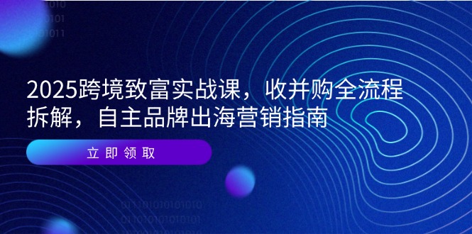 2025跨境致富实战课，收并购全流程拆解，自主品牌出海营销指南-知库