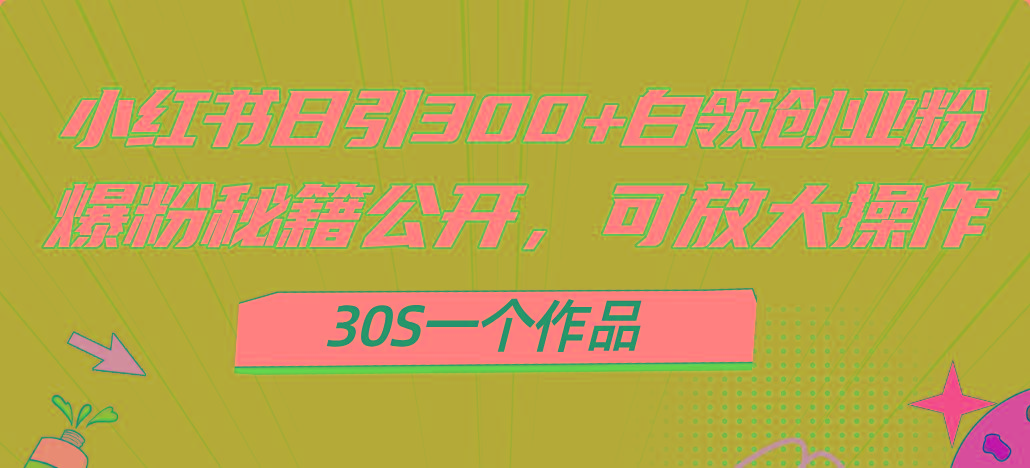 小红书日引300+高质白领创业粉，可放大操作，爆粉秘籍！30s一个作品-知库