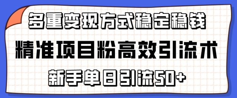 精准项目粉高效引流术，新手单日引流50+，多重变现方式稳定赚钱【揭秘】-知库