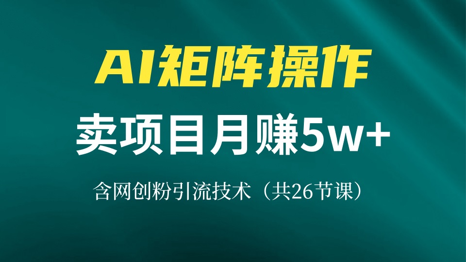 网创IP打造课，借助AI卖项目月赚5万+，含引流技术(共26节课-知库