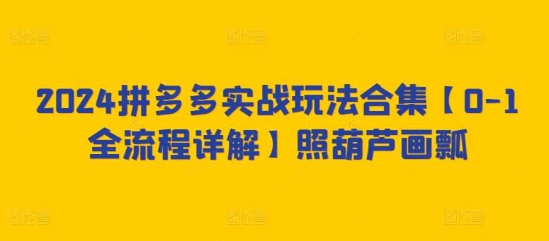 2024拼多多实战玩法合集【0-1全流程详解】照葫芦画瓢-知库