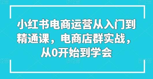 小红书电商运营从入门到精通课，电商店群实战，从0开始到学会-知库