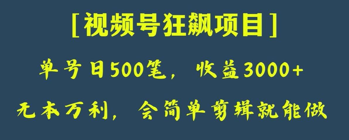 日收款500笔，纯利润3000+，视频号狂飙项目，会简单剪辑就能做【揭秘】-知库