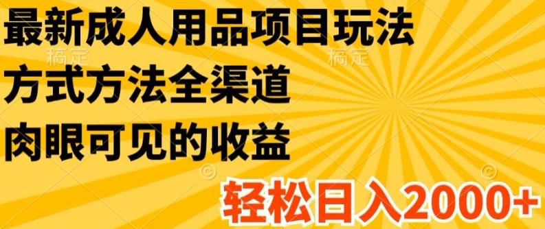 最新成人用品项目玩法，方式方法全渠道，轻松日入2K+【揭秘】-知库