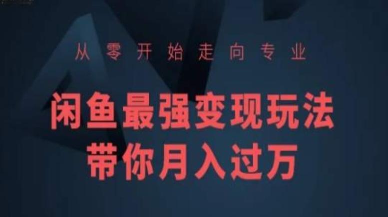 从零开始走向专业，闲鱼最强变现玩法带你月入过万-知库