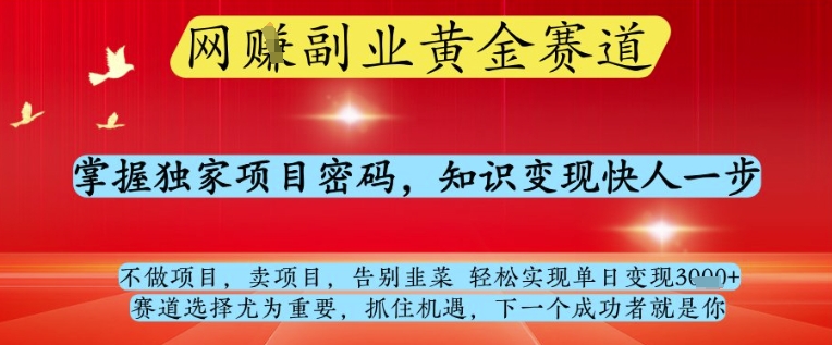 网创副业黄全赛道，掌握独家项目密码，知识变现快人一步，告别韭菜轻松实现单日变现1k+【揭秘】-知库