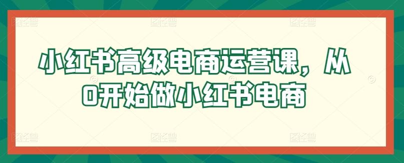 小红书高级电商运营课，从0开始做小红书电商-知库