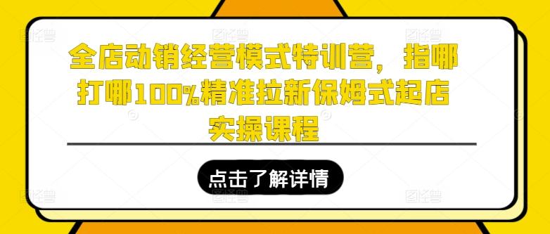 全店动销经营模式特训营，指哪打哪100%精准拉新保姆式起店实操课程-知库