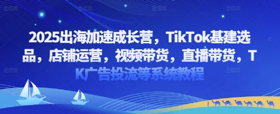 2025出海加速成长营，TikTok基建选品，店铺运营，视频带货，直播带货，TK广告投流等系统教程-知库