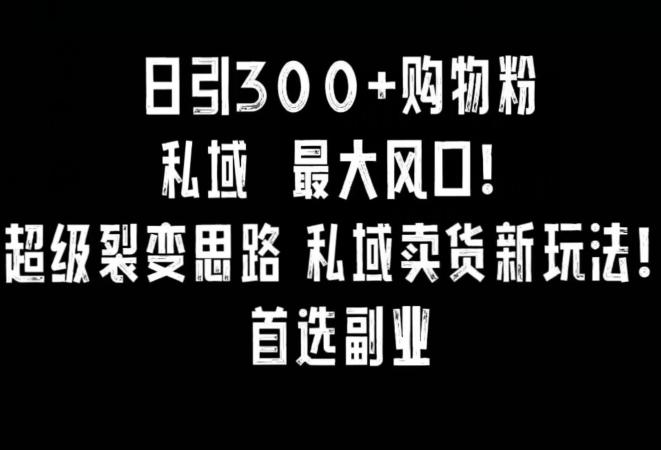 日引300+购物粉，超级裂变思路，私域卖货新玩法，小红书首选副业【揭秘】-知库