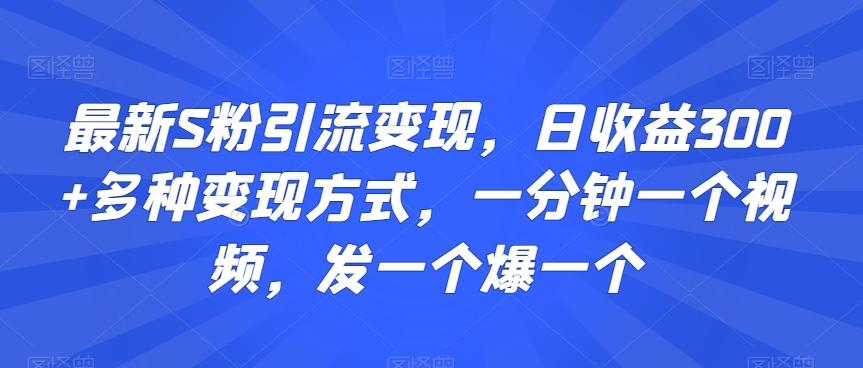 最新S粉引流变现，日收益300+多种变现方式，一分钟一个视频，发一个爆一个【揭秘】-知库