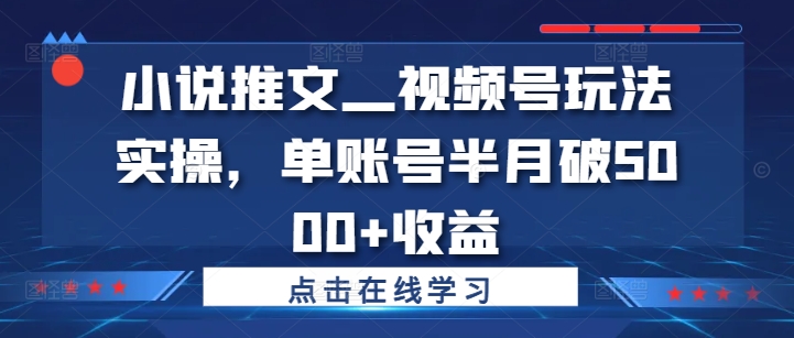 小说推文—视频号玩法实操，单账号半月破5000+收益-知库