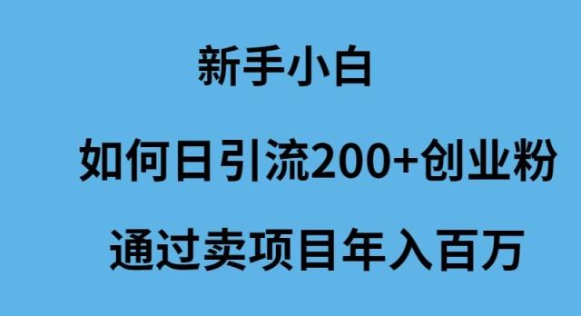 (9668期)新手小白如何日引流200+创业粉通过卖项目年入百万-知库