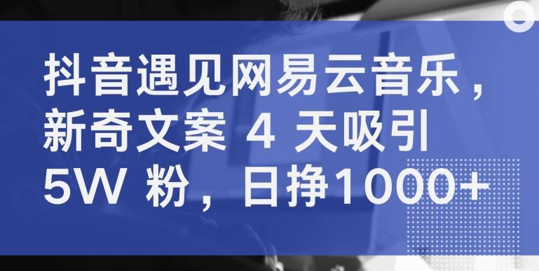 抖音遇见网易云音乐，新奇文案 4 天吸引 5W 粉，日挣1000+【揭秘】-知库