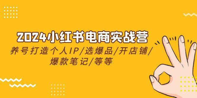 2024小红书电商实战营，养号打造IP/选爆品/开店铺/爆款笔记/等等(24节)-知库