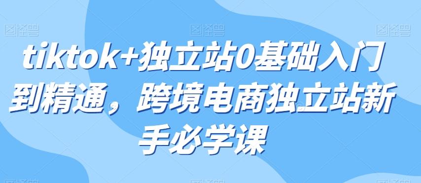 tiktok+独立站0基础入门到精通，跨境电商独立站新手必学课-知库