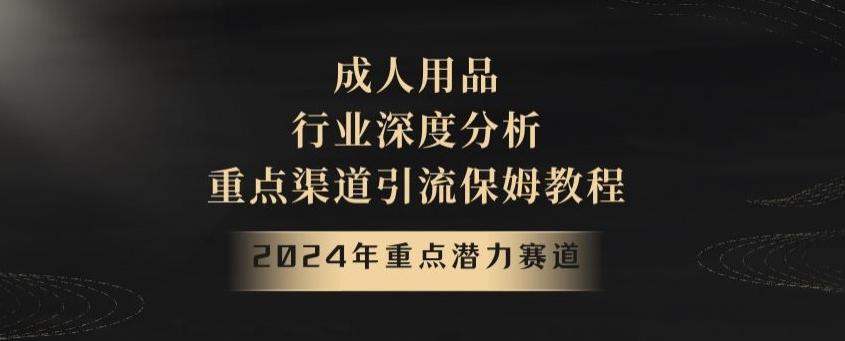 2024年重点潜力赛道，成人用品行业深度分析，重点渠道引流保姆教程【揭秘】-知库