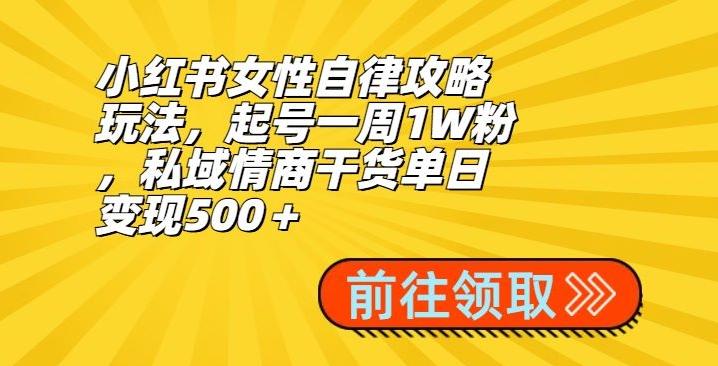 小红书女性自律攻略玩法，起号一周1W粉，私域情商干货单日变现500＋-知库