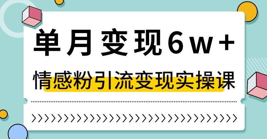 单月变现6W+，抖音情感粉引流变现实操课，小白可做，轻松上手，独家赛道【揭秘】-知库