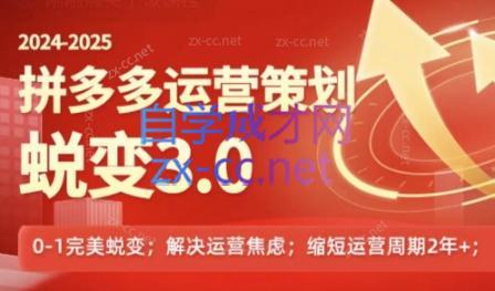 大力老师·2024拼多多运营策略蜕变3.0-知库