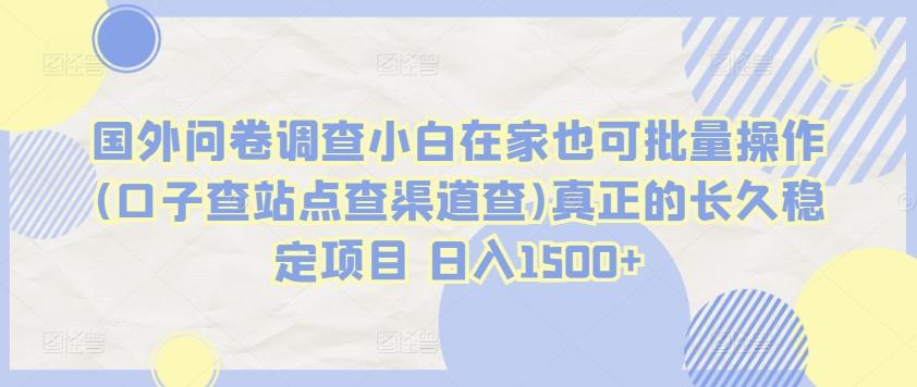 国外问卷调查小白在家也可批量操作(口子查站点查渠道查)真正的长久稳定项目 日入1500+【揭秘】-知库