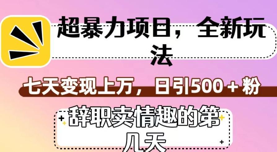 超暴利项目，全新玩法（辞职卖情趣的第几天），七天变现上万，日引500+粉【揭秘】-知库