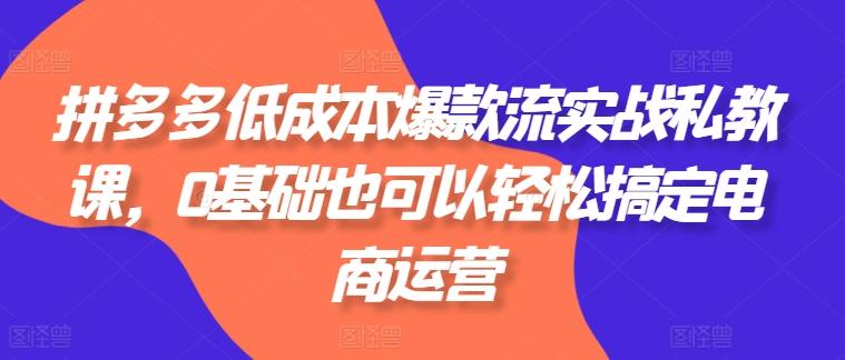 拼多多低成本爆款流实战私教课，0基础也可以轻松搞定电商运营-知库