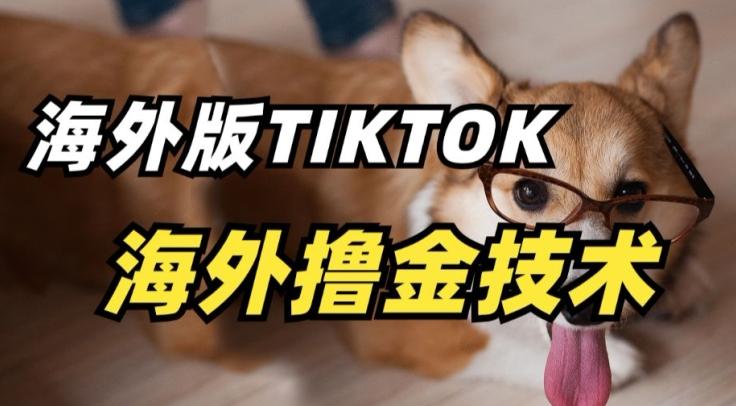 抖音海外版tiktok撸金技术，这个风口行业，赚钱真的不难【揭秘】-知库