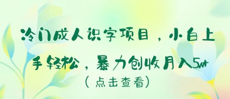 冷门成人识字项目，小白上手轻松，暴力创收月入5w+【揭秘】-知库