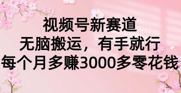 (9278期)视频号新赛道，无脑搬运，有手就行，每个月多赚3000多零花钱-知库