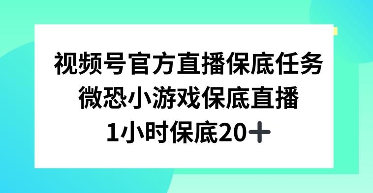 视频号直播任务，微恐小游戏，1小时20+【揭秘】-知库