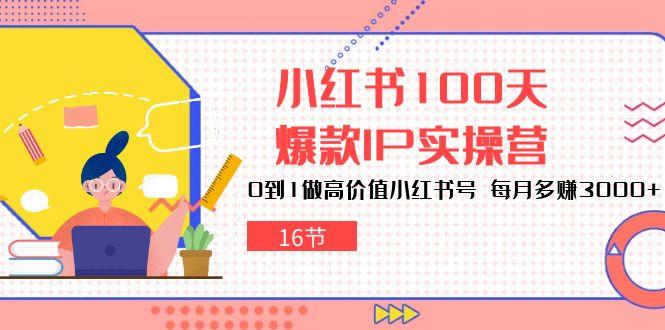 小红书100天-爆款IP实操营，0到1做高价值小红书号 每月多赚3000+(16节-知库