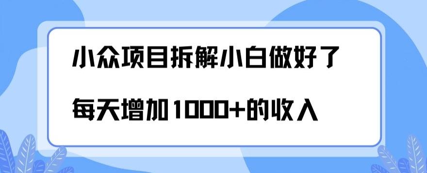 小众项目拆解，小白做好了每天可增加1000多的收入-知库