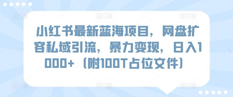 小红书最新蓝海项目，网盘扩容私域引流，暴力变现，日入1000+(附100T占位文件)【揭秘】-知库