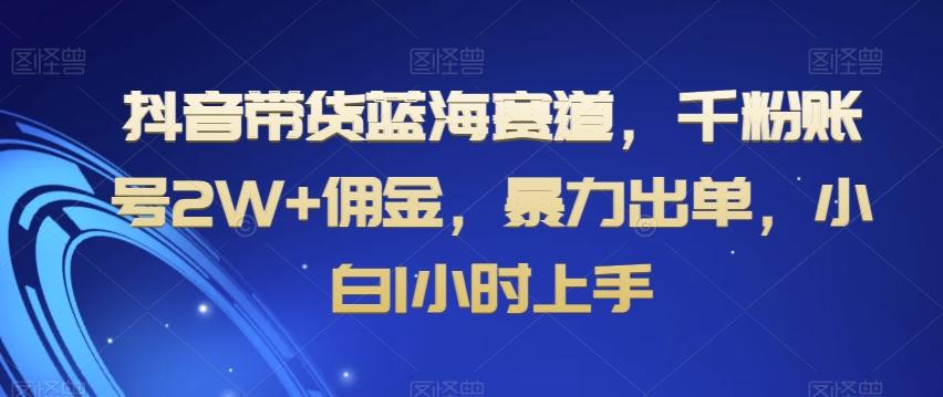 抖音带货蓝海赛道，千粉账号2W+佣金，暴力出单，小白1小时上手【揭秘】-知库