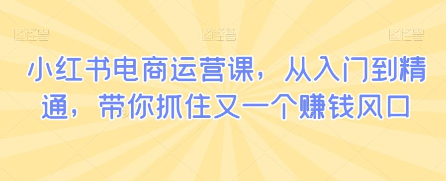 小红书电商运营课，从入门到精通，带你抓住又一个赚钱风口-知库