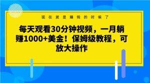 每天观看30分钟视频，一月躺赚1000+美金！保姆级教程，可放大操作【揭秘】-知库