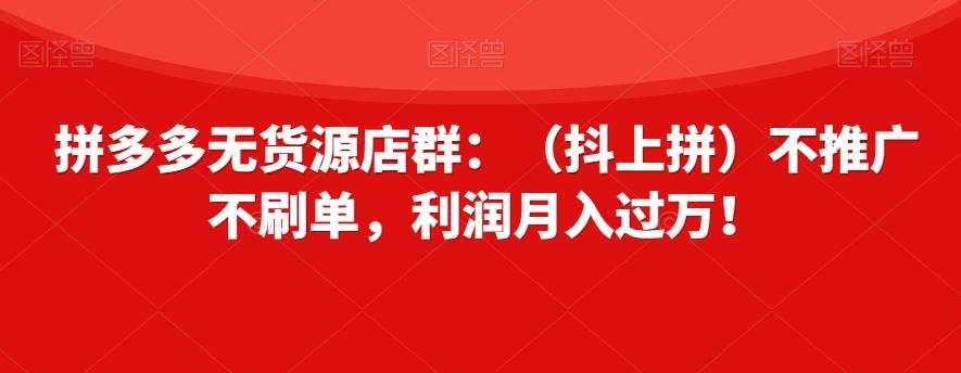 拼多多无货源店群：（抖上拼）不推广不刷单，利润月入过万！【揭秘】-知库