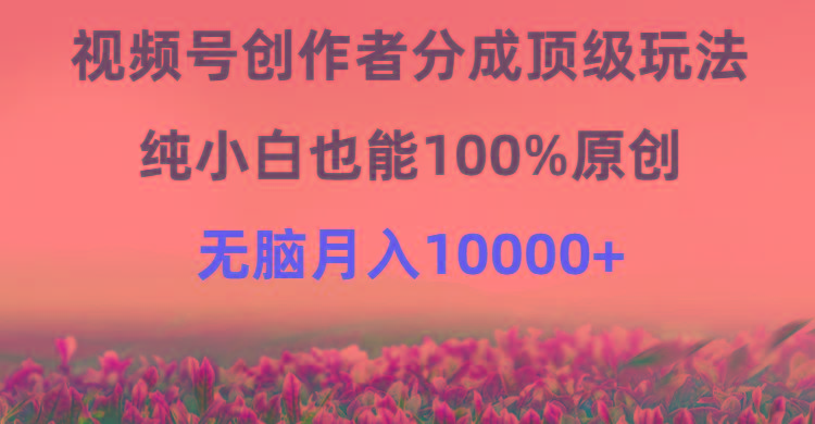 (9608期)视频号创作者分成顶级玩法，纯小白也能100%原创，无脑月入10000+-知库