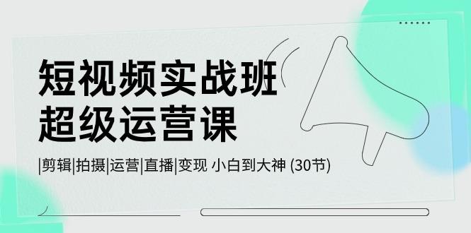 短视频实战班超级运营课 |剪辑|拍摄|运营|直播|变现 小白到大神 (30节)-知库