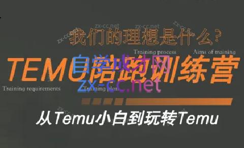 苗苗·拼多多跨境（temu）课程-知库