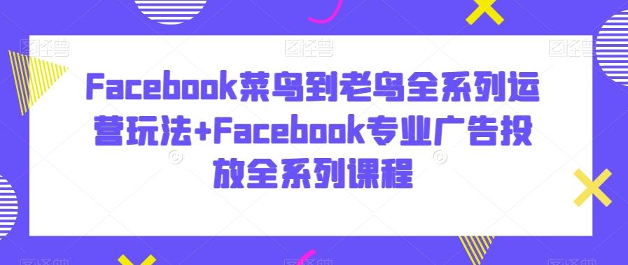 Facebook菜鸟到老鸟全系列运营玩法+Facebook专业广告投放全系列课程-知库