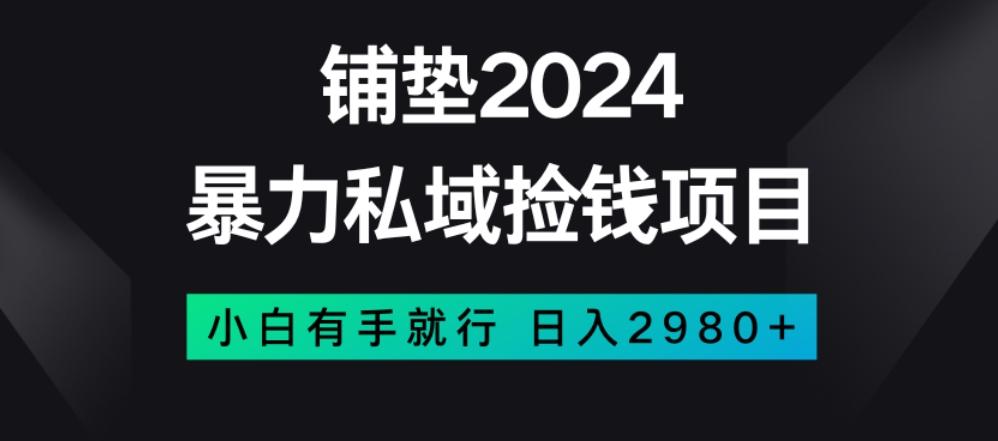 暴力私域捡钱项目，小白无脑操作，日入2980【揭秘】-知库