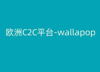 欧洲C2C平台-wallapop-kim跨境电商教程-知库