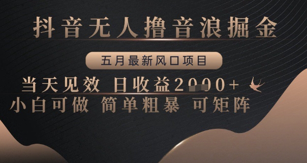抖音无人撸音浪掘金，五月最新风口项目，当天见效，日收益多张，小白可做简单粗暴可矩阵【揭秘】-知库