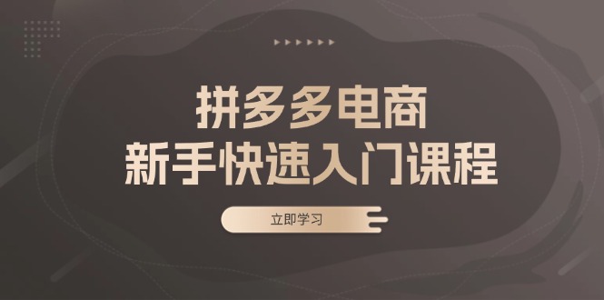 拼多多电商新手快速入门课程：涵盖基础、实战与选款，助力小白轻松上手-知库