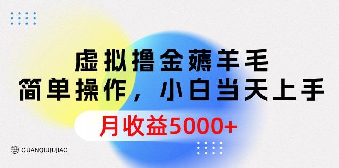 (9864期)虚拟撸金薅羊毛，简单操作，小白当天上手，月收益5000+-知库