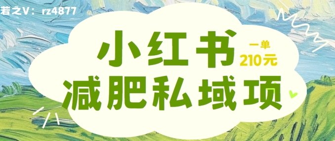 小红书减肥粉，私域变现项目，一单就达210元，小白也能轻松上手【揭秘】-知库